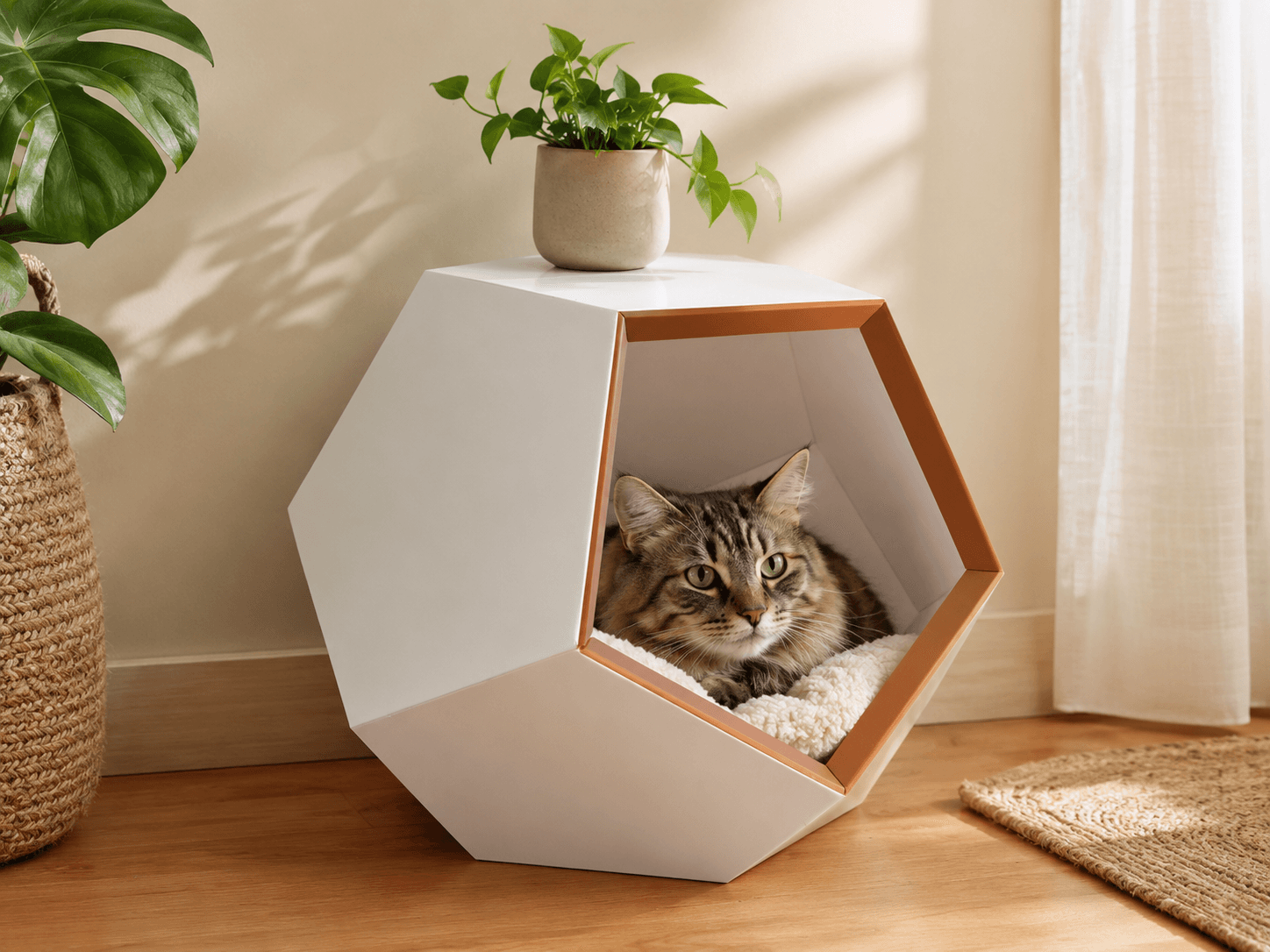 Moderne Katzenhöhle im Pentagon-Design